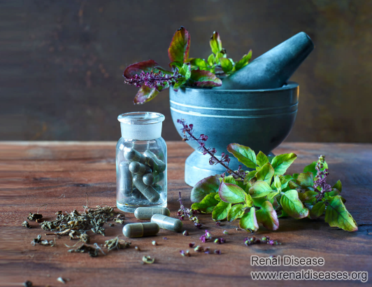 Can Ayurvedic Treatment Help IgA Nephropathy Get Remission