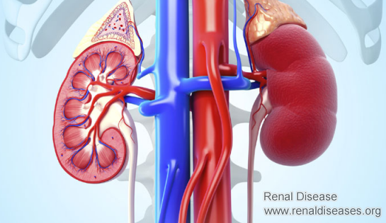 Can You Go Back from End Stage Renal Failure
