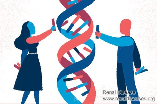 Is Chronic Glomerulonephritis Inherited