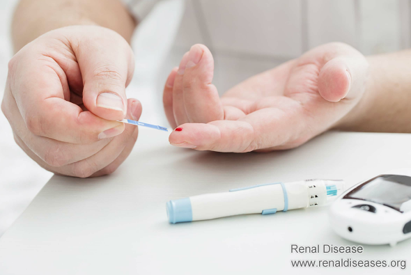 What Does High Creatinine Level Mean for An Insulin Dependent Type 1 Diabetes
