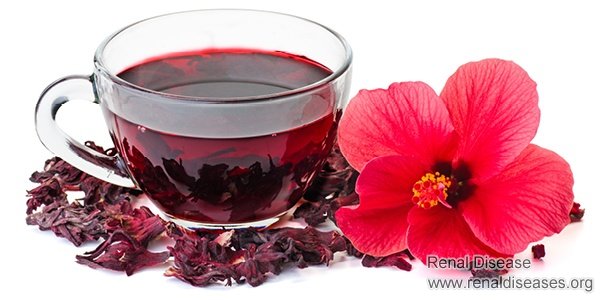 Is Hibiscus Flower OK for A Person with IgA Nephropathy