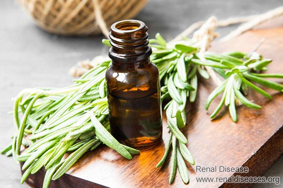 Natural Treatment for Renal Parenchymal Disease