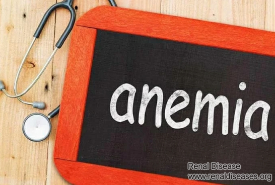 Precautions in the Treatment of Anemia in Chronic Renal Failure