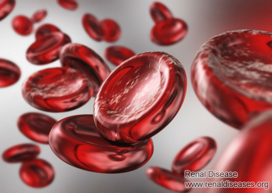 Effect of Dialysis on Blood Hemoglobin