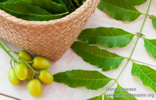 Natural Treatment for Chronic Glomerulonephritis